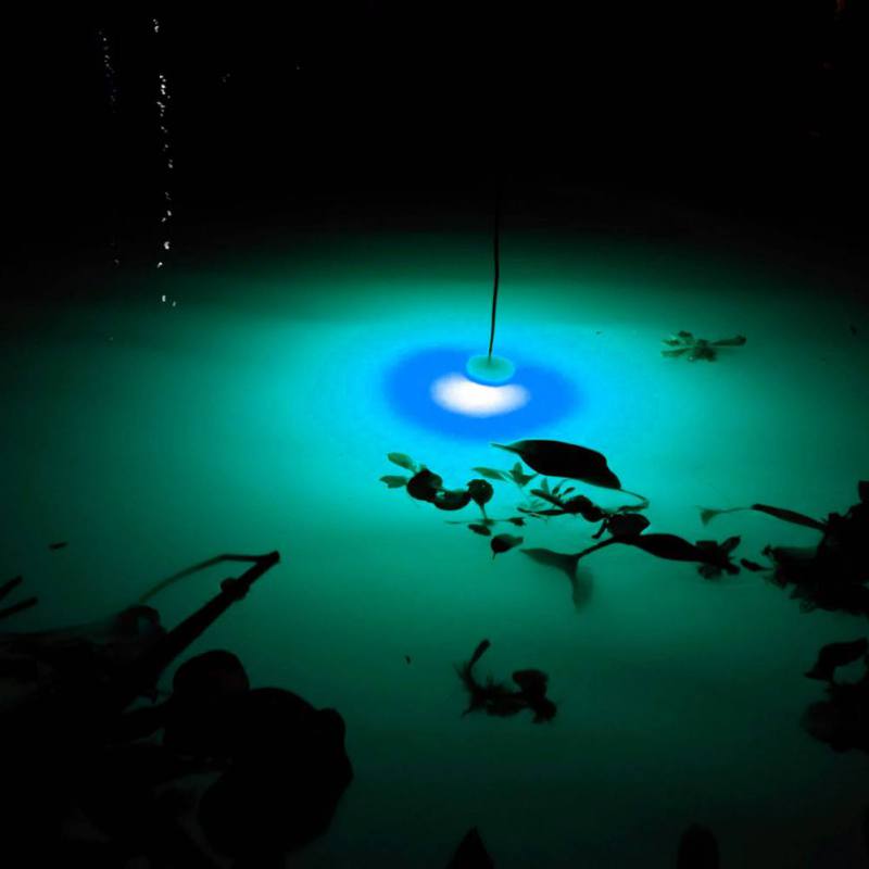 Mini Fishing Attraction Lamp G - Fishing Boat Navigation Light 评论和价格