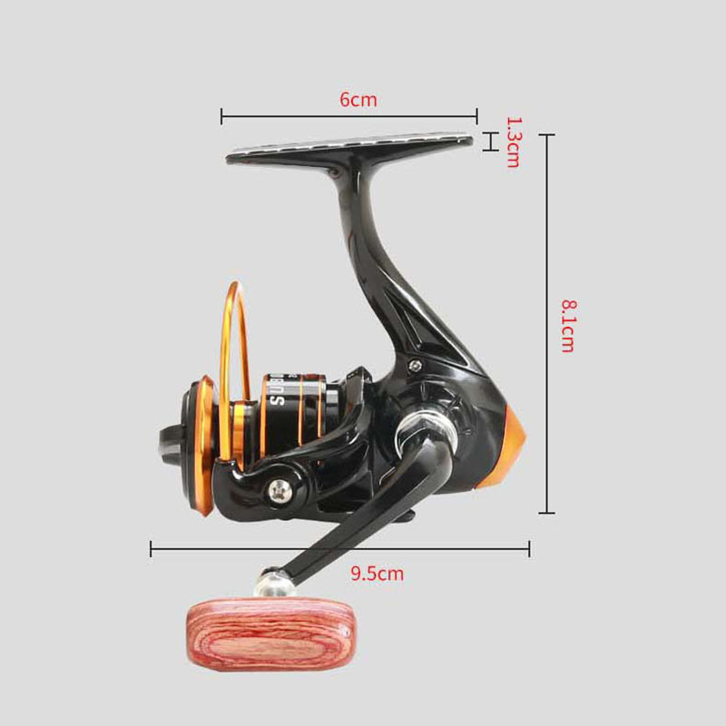 800 Series Small Spinning Fish - Daiwa Reel Bg 评论和价格